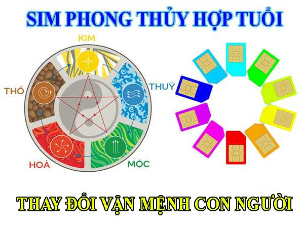 Sim phong thủy làm thay đổi mệnh người sở hữu